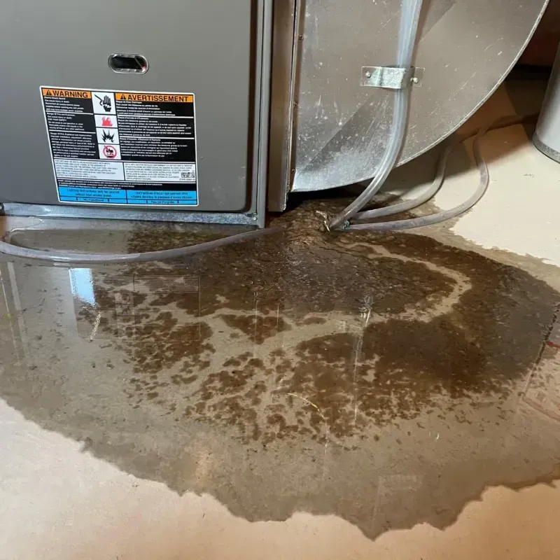 Appliance Leak Cleanup in Stearns, KY